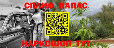 PSILOCYBIN Бугуруслан